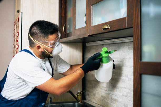Best Flea Control Services  in Socorro, NM