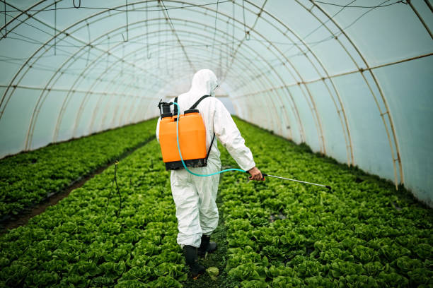 Best Mosquito Control Services  in Socorro, NM