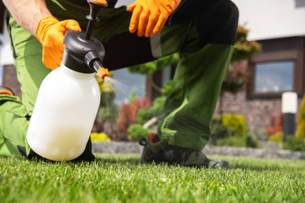 Best Affordable Pest Control Services  in Socorro, NM