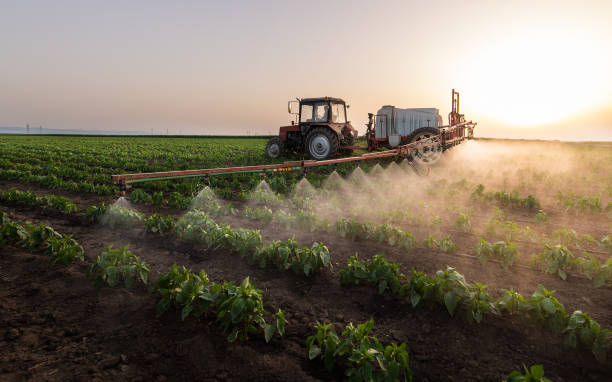 Professional Pest Control in Socorro, NM